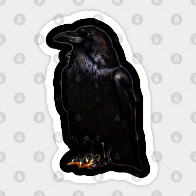 Crow Calls Sticker by Share_1